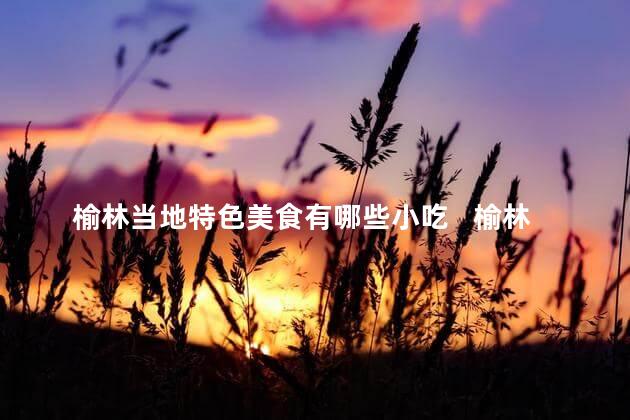 榆林当地特色美食有哪些小吃   榆林有哪些特色小吃